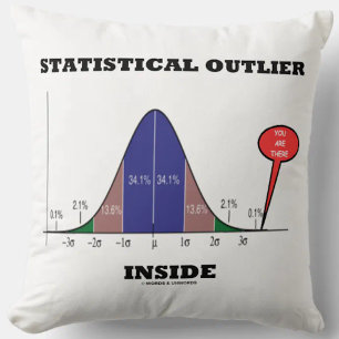 Statistical Outlier Inside You Are There Humour Cushion