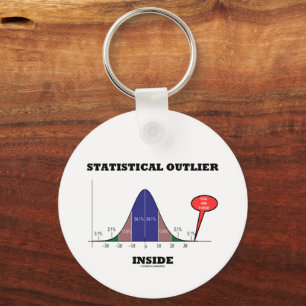 Statistical Outlier Inside You Are There Humour Key Ring