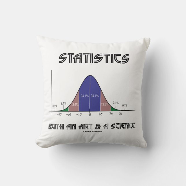 Statistics Both An Art & A Science Cushion (Front)
