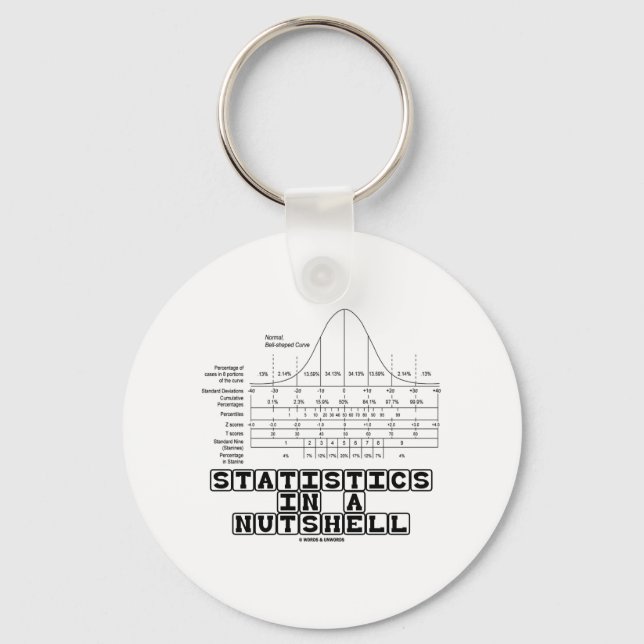 Statistics In A Nutshell (Stats Cheat Sheet) Key Ring (Front)