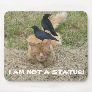 Statue Cat? Mouse Mat