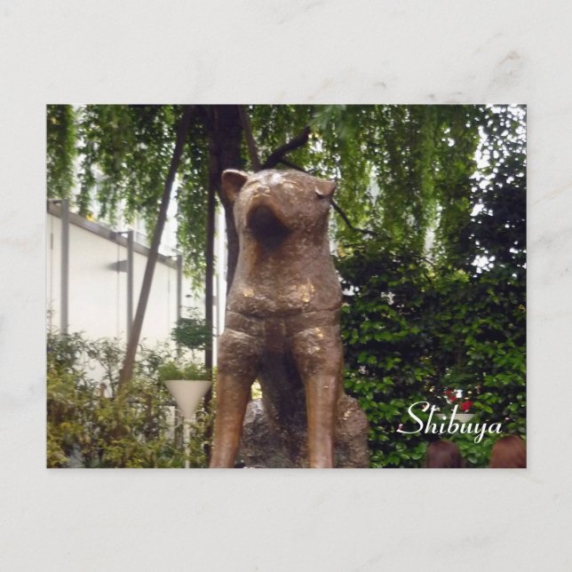statue hachiko shibuya postcard (Front)