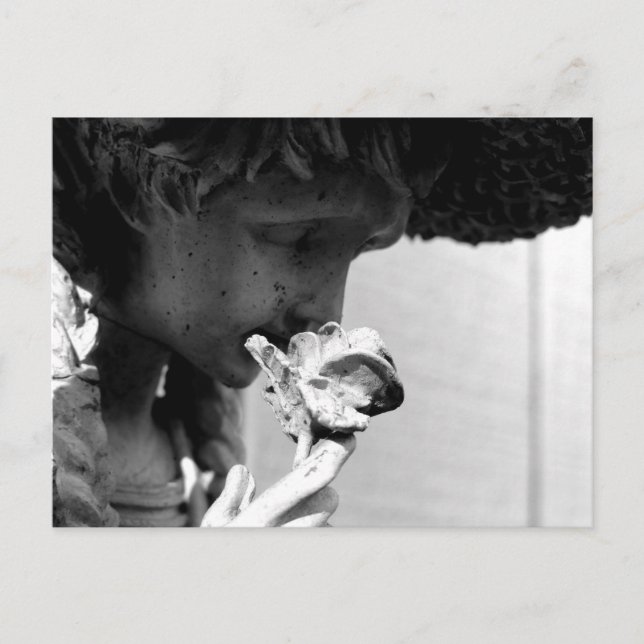 STATUE HOLDING A ROSE POSTCARD (Front)