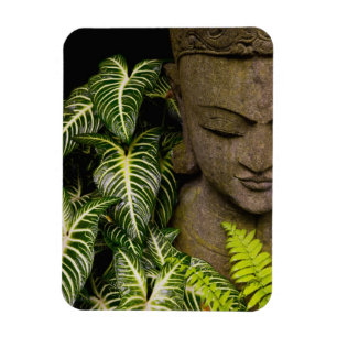 Statue in a Garden Location Information: Chiang Ma Magnet