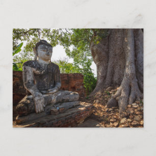 Statue in den Tempeln von Ava in Myanmar Postkarte Postcard