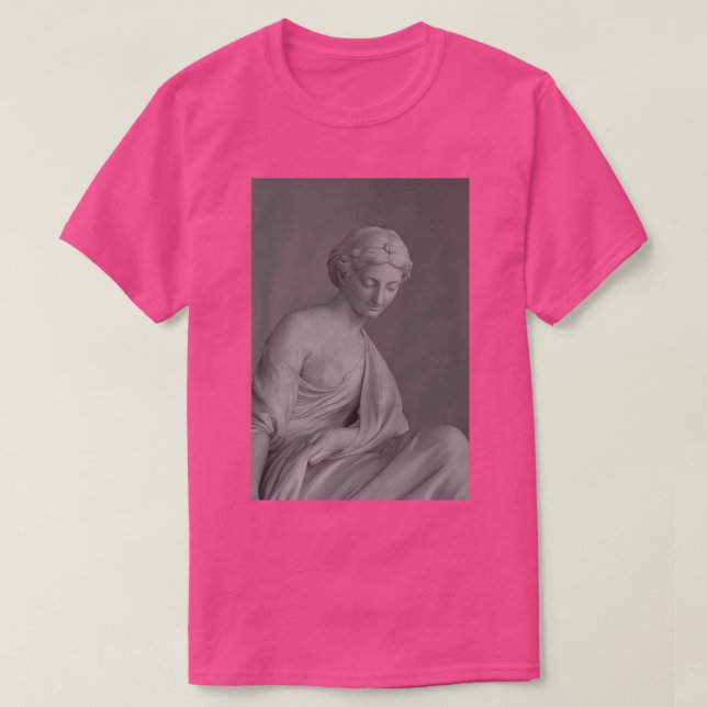 statue in the museum T-Shirt (Design Front)
