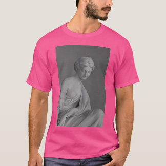 statue in the museum T-Shirt