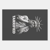 Statue Liberty New York America Tarrified 
