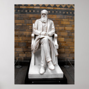Statue of Charles Darwin Poster