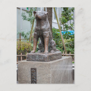 Statue of Chuken Hachiko Postcard