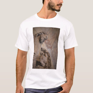 Statue of Saint John the Baptist T-Shirt