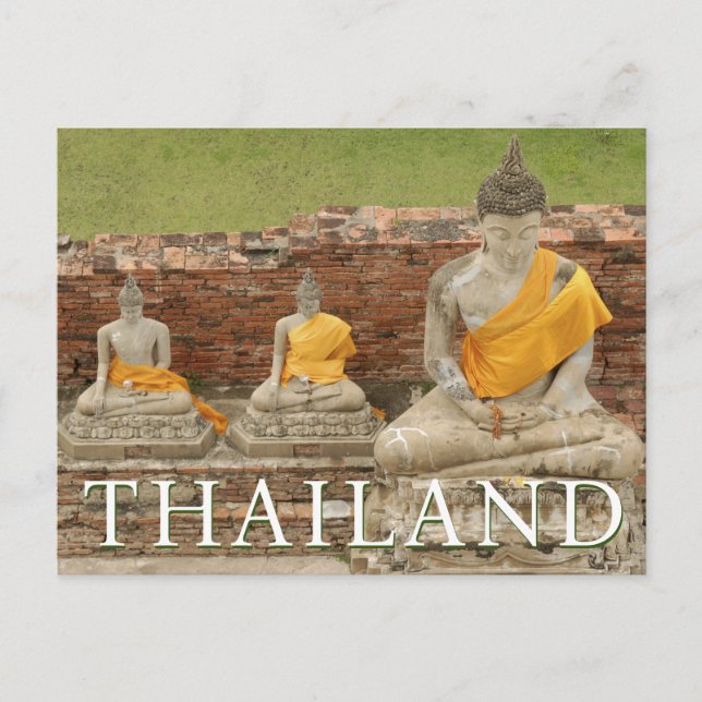 Statues of Sitting Buddhas | Ayutthaya, Thailand Postcard (Front)