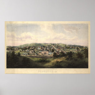 Staunton Virginia 1857 Antique Panoramic Map Poster
