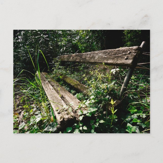 Stay a While Postcard (Front)