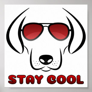Stay Cool - Dog Poster