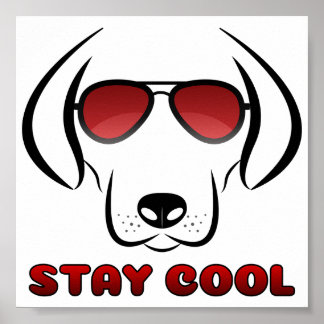 Stay Cool - Dog Poster