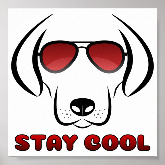 Stay Cool - Dog Poster (Front)