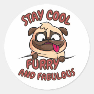Stay Cool furry and fabulous, Cool Dog, Funny Dog Classic Round Sticker