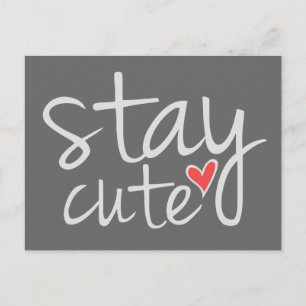Stay Cute Postcard, Grey Postcard