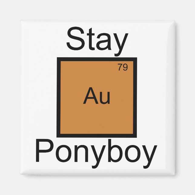 Stay Gold Ponyboy Element Pun Magnet (Front)