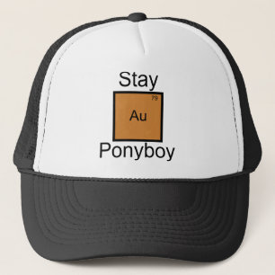 Stay Gold Ponyboy Element Pun Trucker Hat