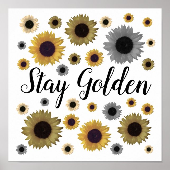 Stay Golden, Sunflower Poster (Front)