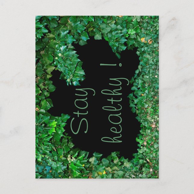 Stay healthy with green Ivy Postcard (Front)