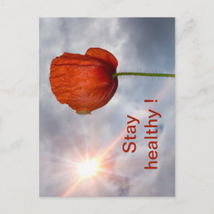 Stay healthy with red flower postcard