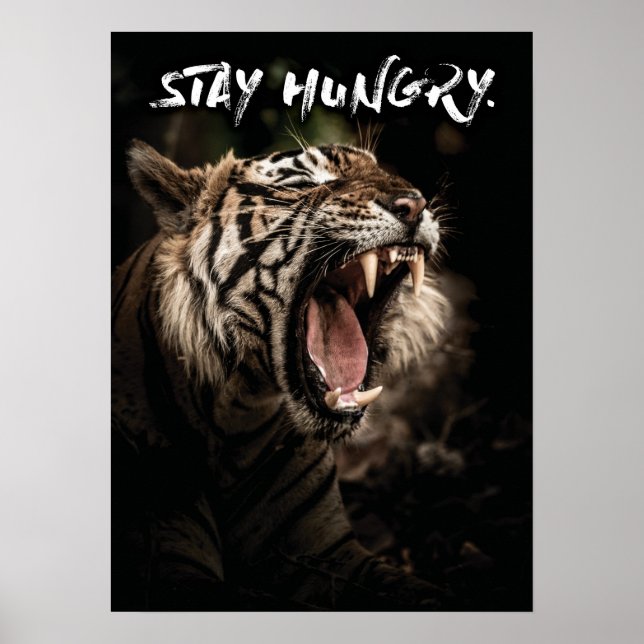 Stay Hungry - Tiger Roaring Poster (Front)