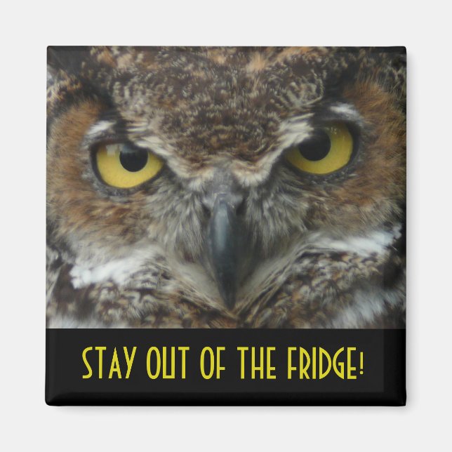 Stay Out Of The Fridge -  Intimidating Owl Magnet (Front)