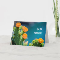 Stay sharp - Bright Cactus Flower photo birthday