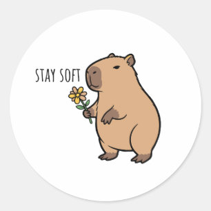 Stay Soft Capybara Illustration animal Classic Round Sticker