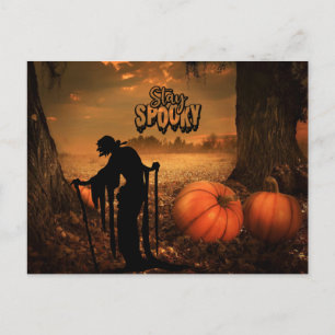 Stay Spooky Halloween Night Old Witch, Pumpkins Postcard