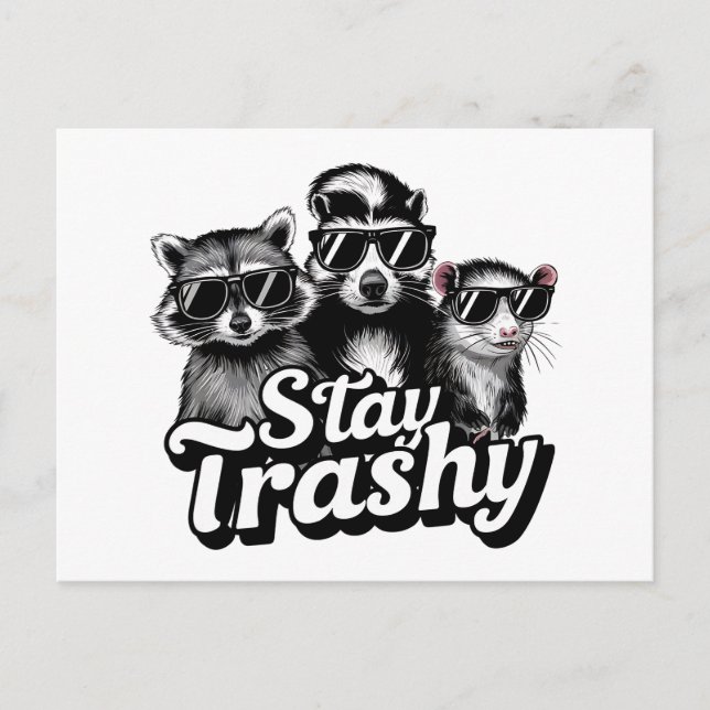 Stay Trashy Racoon Opossum Sunglasses Art Postcard (Front)