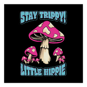 Stay Trippy! Little Hippie Poster