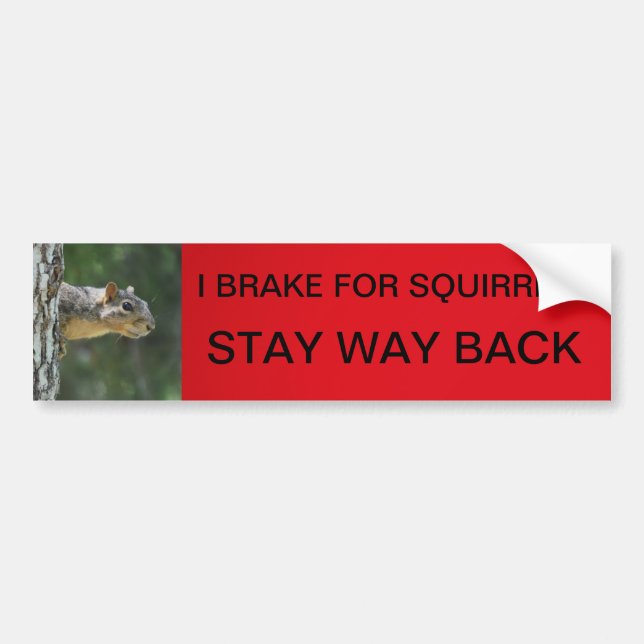 STAY WAY BACK BUMPER STICKER (Front)