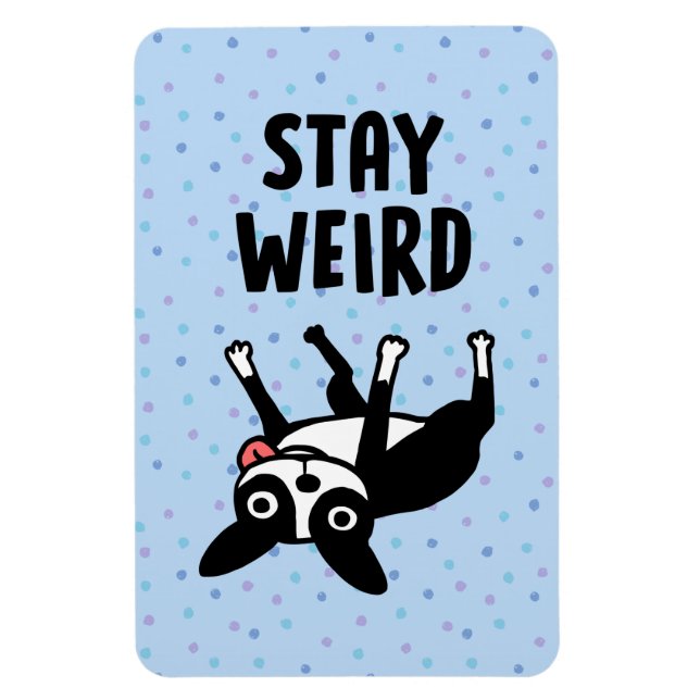 Stay Weird Funny Boston Terrier Dog Magnet (Vertical)