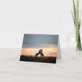 "Stay Wild" Greeting Cards