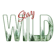 Stay Wild Watercolor Forest Pine Trees Nature Typo