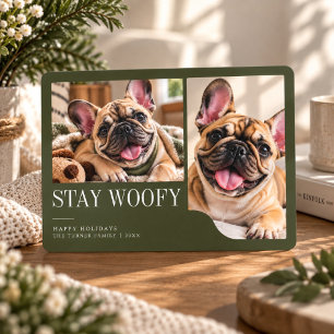 Stay Woofy Sage Green Funny dog 2 Photo Christmas Holiday Card