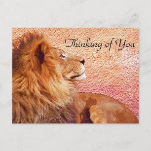 Staying Focused_ Postcard