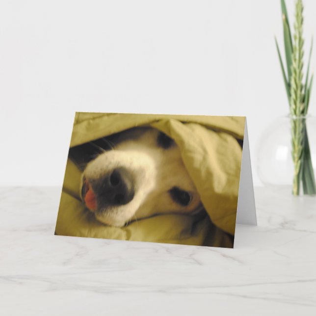 staying in bed until tuesday card (Front)