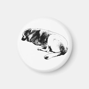 Staying Right Here Magnet