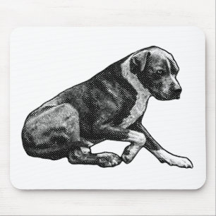 Steady desk season mouse mat