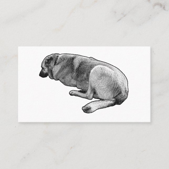 Steady Even in Stillness Business Card (Front)