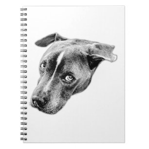  Steady Gaze for Steady Thoughts Notebook