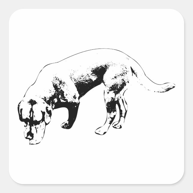 Steady Nose to Ground Square Sticker (Front)