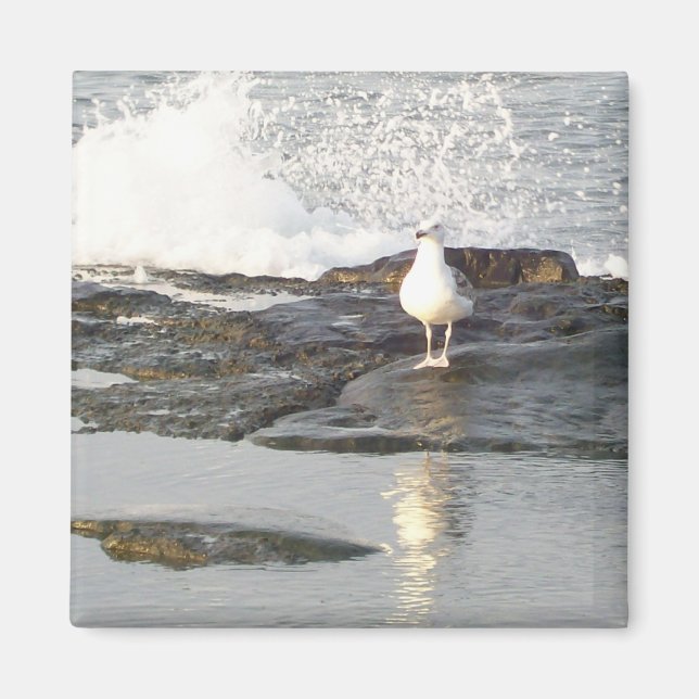 Steady Stance Magnet (Front)