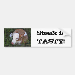 Steak Is Tasty bumper sticker