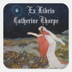 Stealers of Light Bookplate Sticker